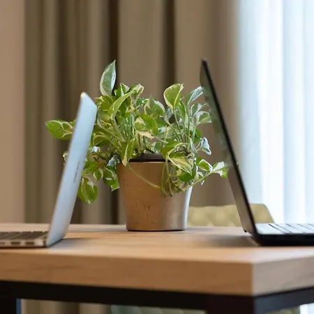 La Punta Castelnuovo Rangone