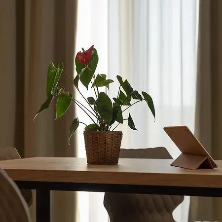 La Punta Daire Castelnuovo Rangone