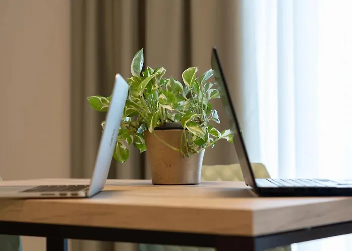 La Punta Castelnuovo Rangone